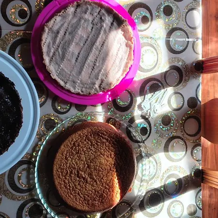 Alberguecasaflor Hostel *